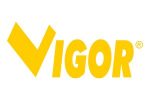 vigor-vuemme